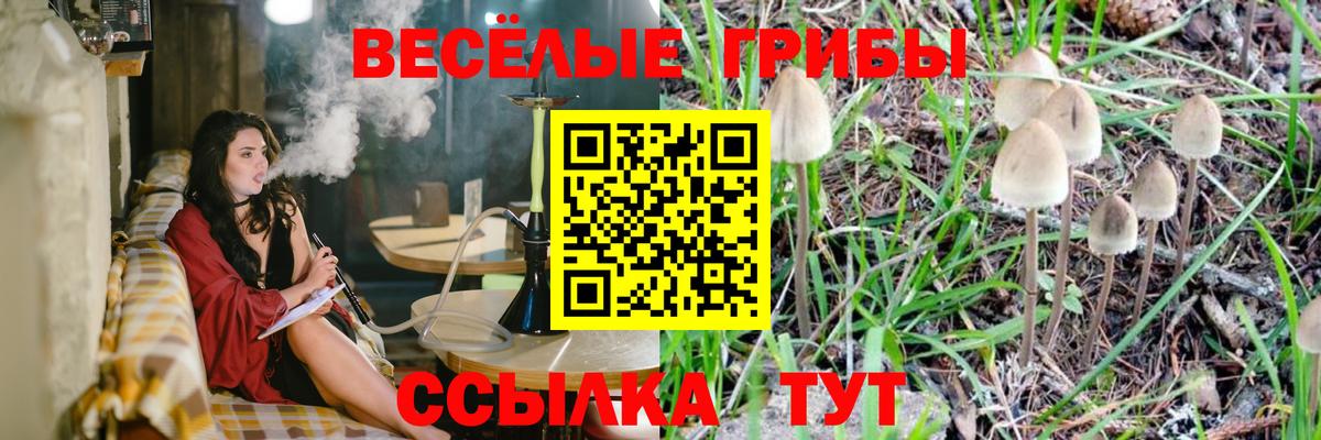 Галлюциногенные грибы MAGIC MUSHROOMS  Псилоцибиновые грибы Cubensis  Азнакаево  Вход с VPN 